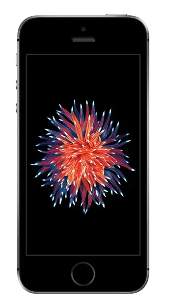Apple iPhone SE 64GB Spacegrau Smartphone ohne Simlock A1723