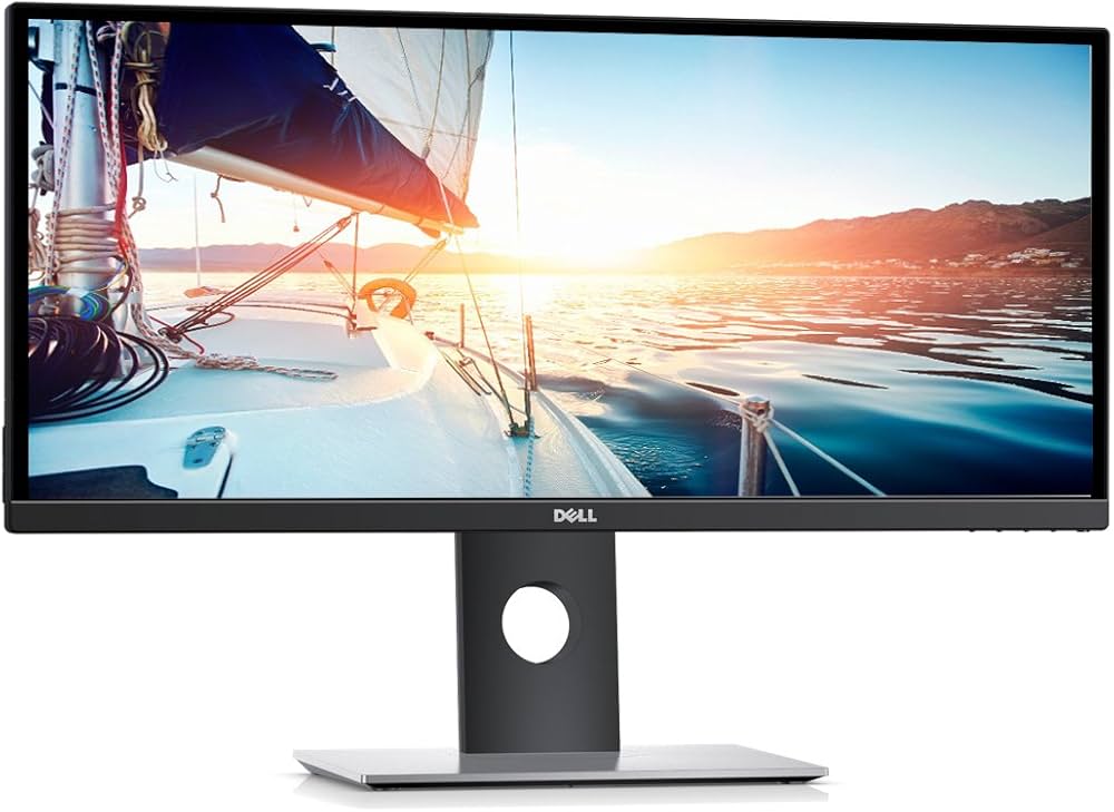 Dell Monitor U2917W | 29" | Full HD | DisplayPort HDMI | schwarz