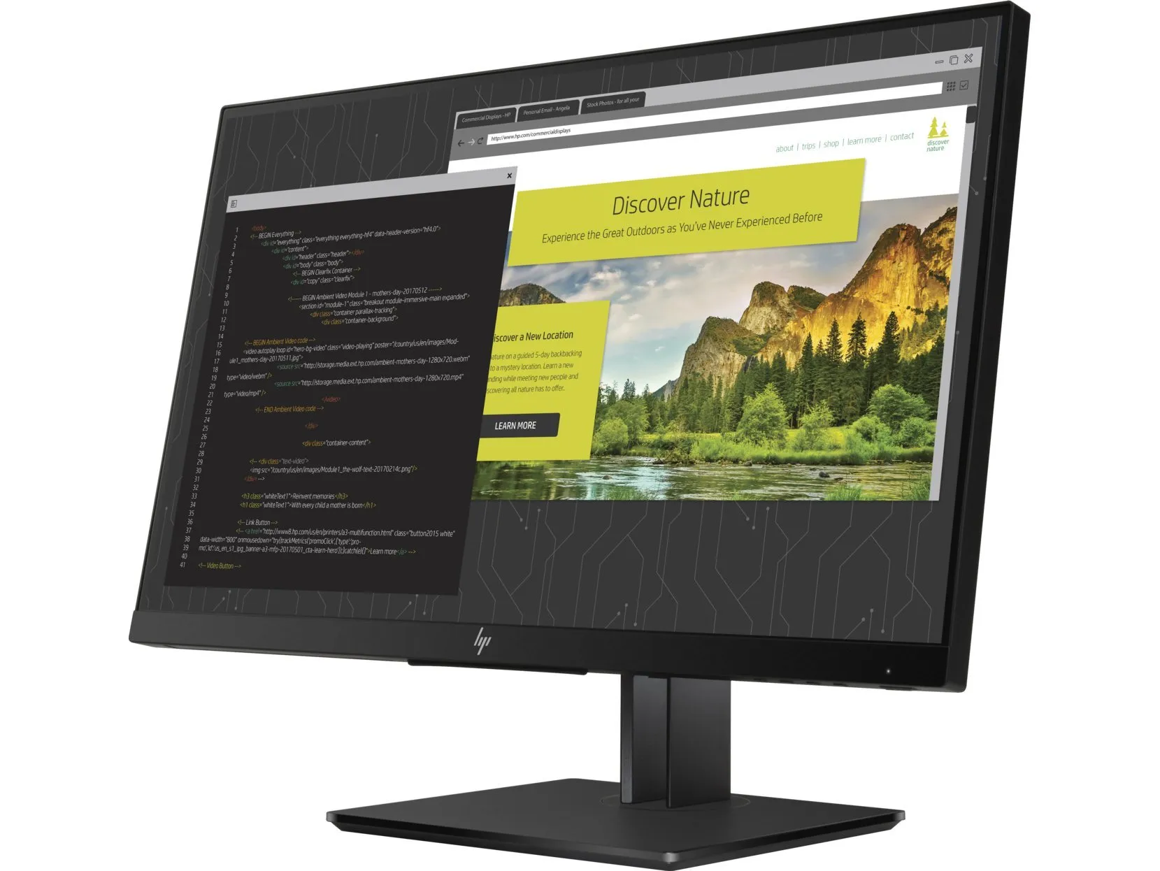 HP Z24nf G2 Monitor | 23.8" Zoll | Full HD | schwarz