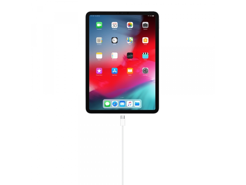 Apple iPad mit angeschlossenem USB-C Kabel, zeigt Homescreen mit bunten App-Symbolen