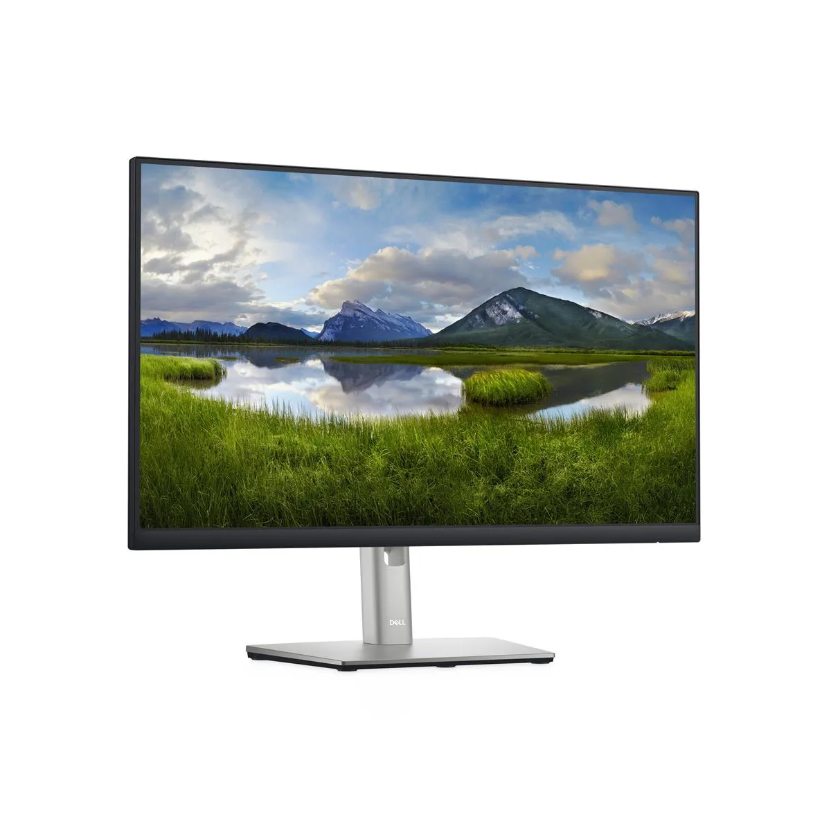 Schräg von vorn gezeigter Dell Monitor mit lebendigem Bild und minimalistischem Design