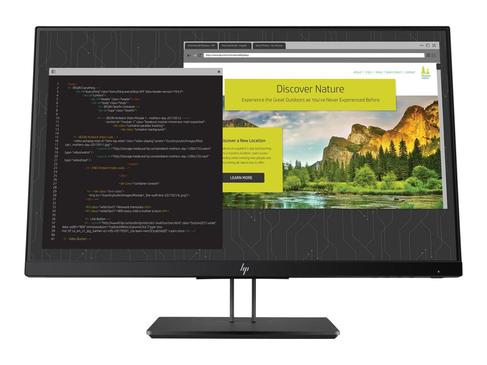 HP Z24nf G2 Monitor | 23.8" | Full HD | schwarz