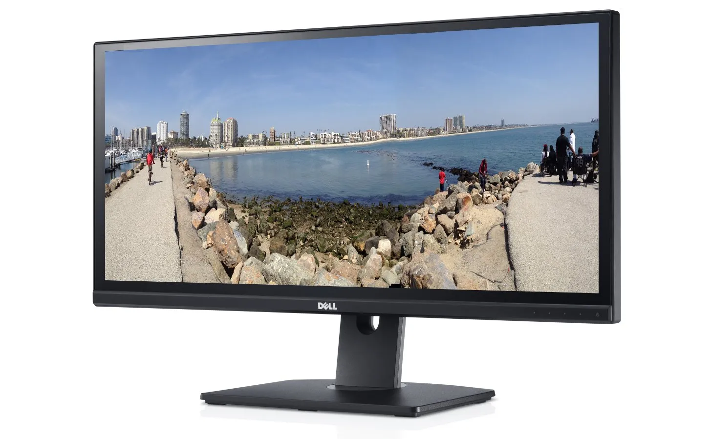 Dell Monitor U2913WMt | 29" | Full HD | DisplayPort | HDMI | DVI | VGA | schwarz