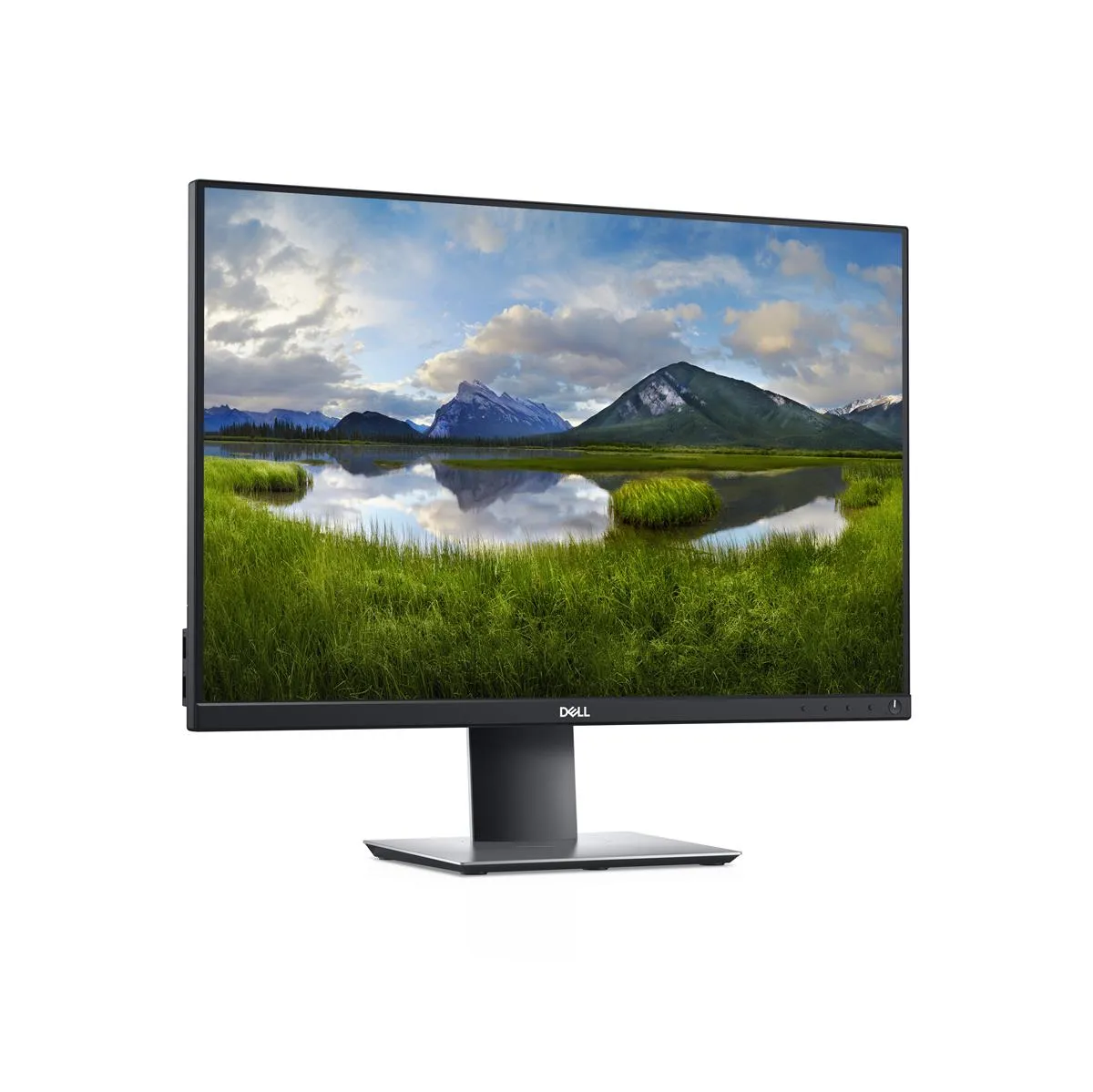 Dell P2421 Monitor mit Naturbild auf dem Display und schwarzem Gehäuse.