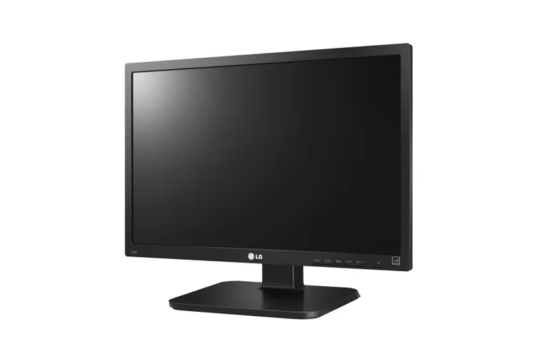 LG 24MB65PY 24 Zoll Full-HD IPS Monitor DP VGA DVI Pivot Schwarz 60,96 cm
