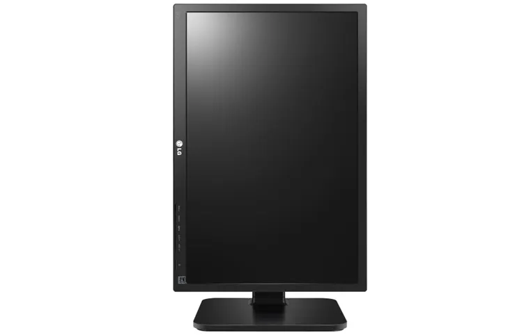 LG 24MB65PY 24 Zoll Full-HD IPS Monitor DP VGA DVI Pivot Schwarz 60,96 cm