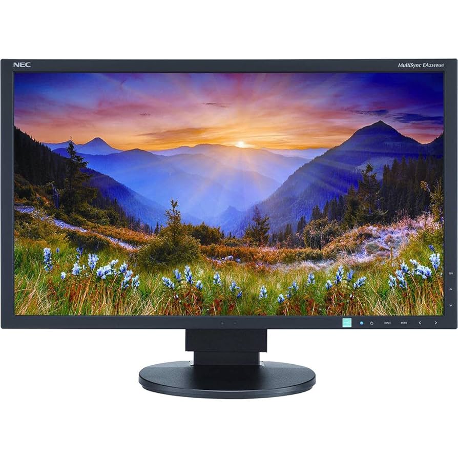 NEC MultiSync EA224WMi | 21,5" | Full HD | HDMI DisplayPort DVI | schwarz