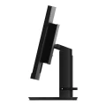 Lenovo ThinkVision P34w-20 | 34" | WQHD | Curved | HDMI DP USB-C USB-Hub | Schwarz