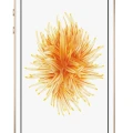 Apple iPhone SE 64GB Gold Smartphone ohne Simlock A1723 Akzeptabel