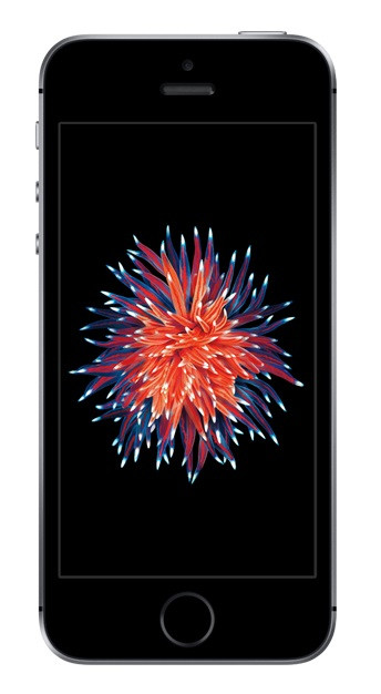 Apple iPhone SE 32GB Spacegrau Smartphone ohne Simlock A1723 Akzeptabel