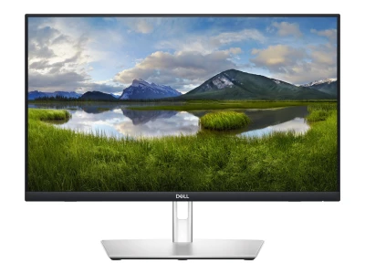 Dell Monitor P2424HT | 24" | Full HD | Touch | DisplayPort HDMI USB-Hub | schwarz