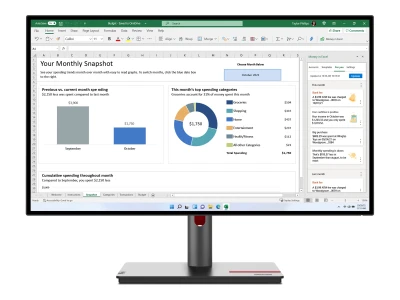 Lenovo ThinkVision P27h-30 | 27" | QHD | HDMI DP USB-C | Schwarz