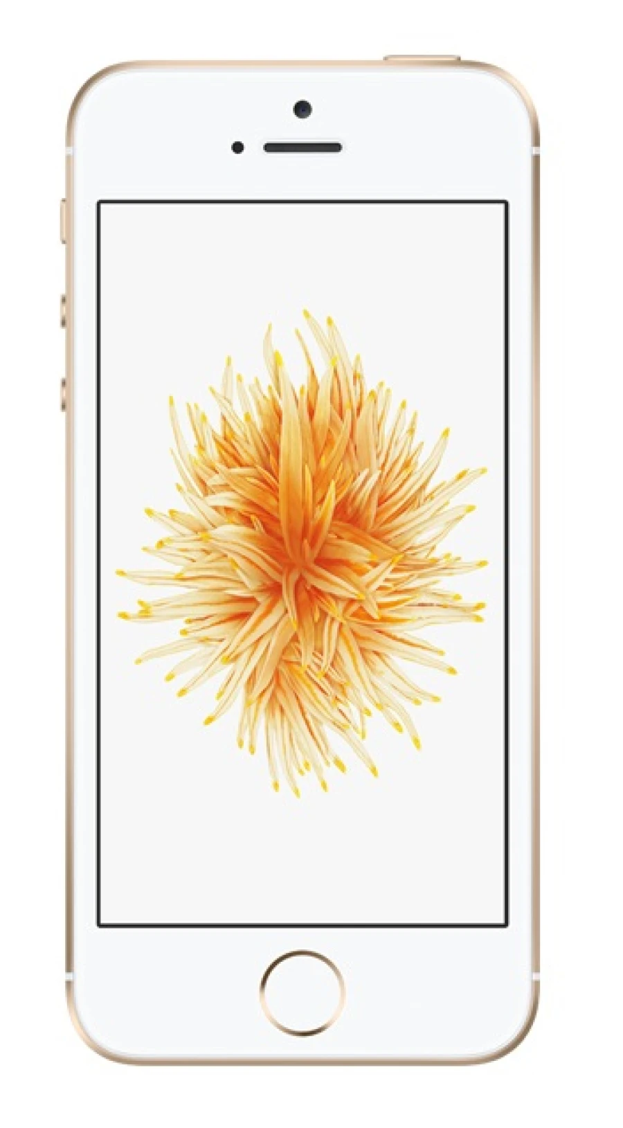 Apple iPhone SE 64GB Gold Smartphone ohne Simlock A1723 Akzeptabel