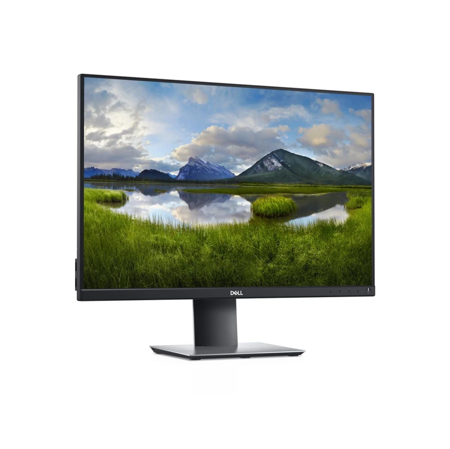 Dell Monitor P2421 | 24.1" | WUXGA | schwarz